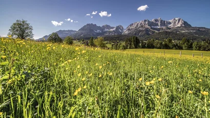 Ihr Urlaub in Ellmau am Wilden Kaiser – im 4-Sterne-Hotel Hochfilzer