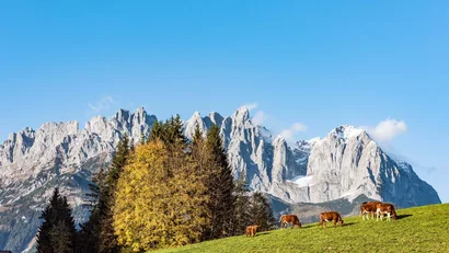 Ihr Urlaub in Ellmau am Wilden Kaiser – im 4-Sterne-Hotel Hochfilzer